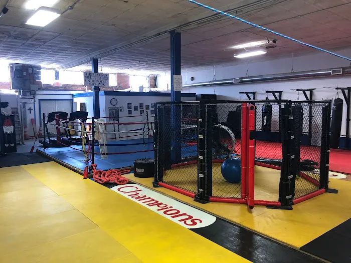 Conan's Kick Boxing Karate Picture 3