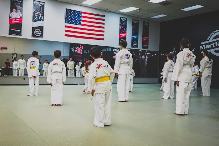 Championship Martial Arts TRIBE Picture 7