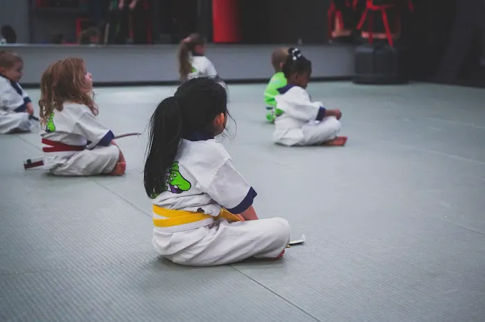 Championship Martial Arts TRIBE Picture 4