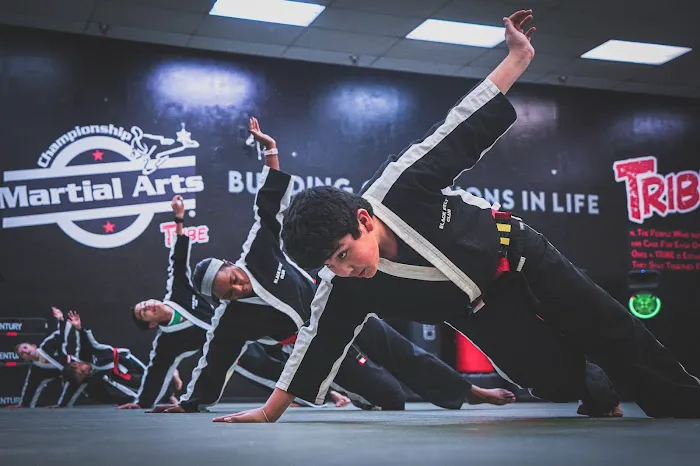 Championship Martial Arts TRIBE Picture 9