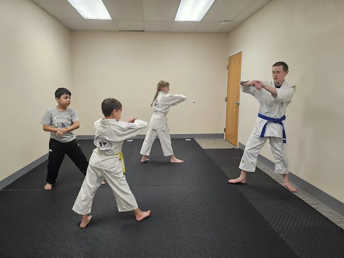 Integrated Self-Defense Picture 1