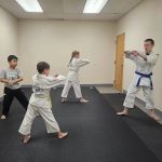 Integrated Self-Defense