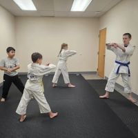 Integrated Self-Defense ico