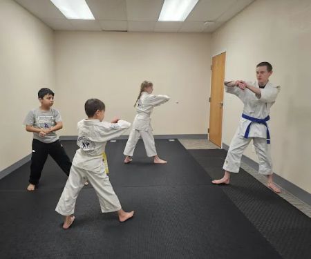 Integrated Self-Defense
