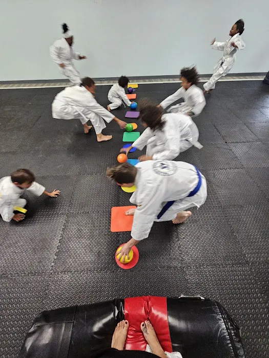 Integrated Self-Defense Picture 6