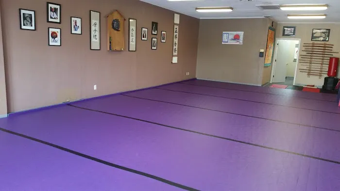 The Center for Aikido & Tang Soo Do Studies Picture 1