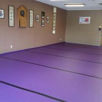 The Center for Aikido & Tang Soo Do Studies ico