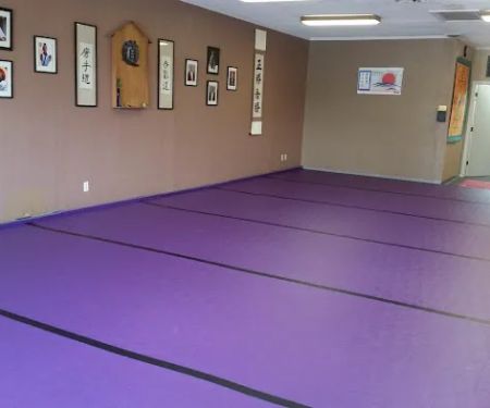 The Center for Aikido & Tang Soo Do Studies