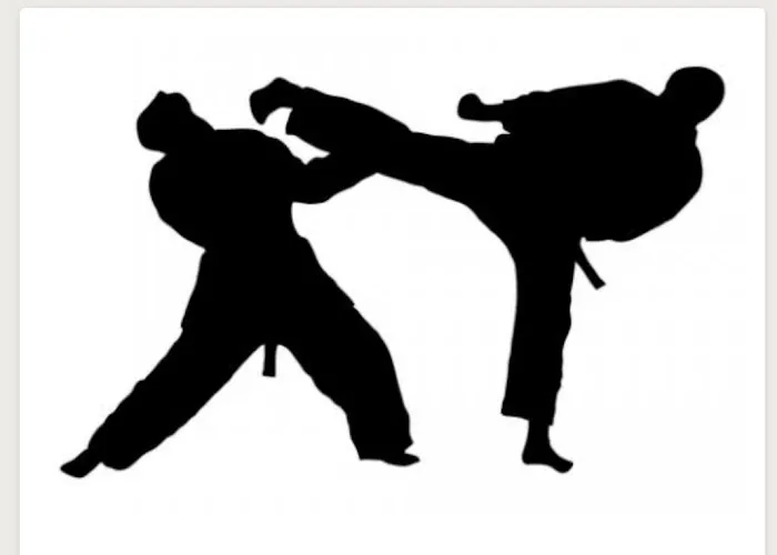 Avance Championship Tae Kwon Do Picture 10