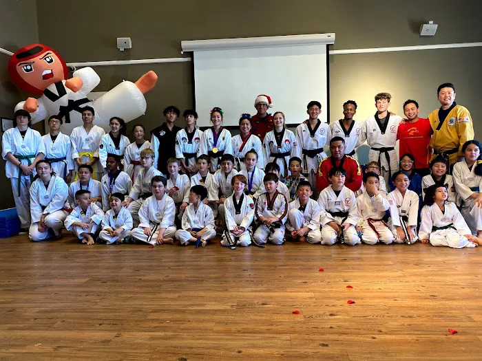 Iron Horse Taekwondo Academy Picture 1