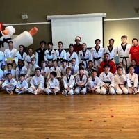 Iron Horse Taekwondo Academy ico