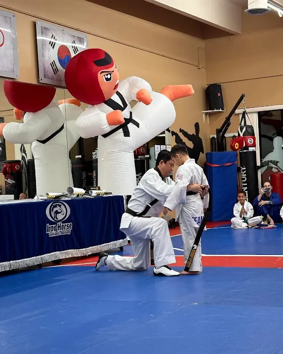 Iron Horse Taekwondo Academy Picture 2
