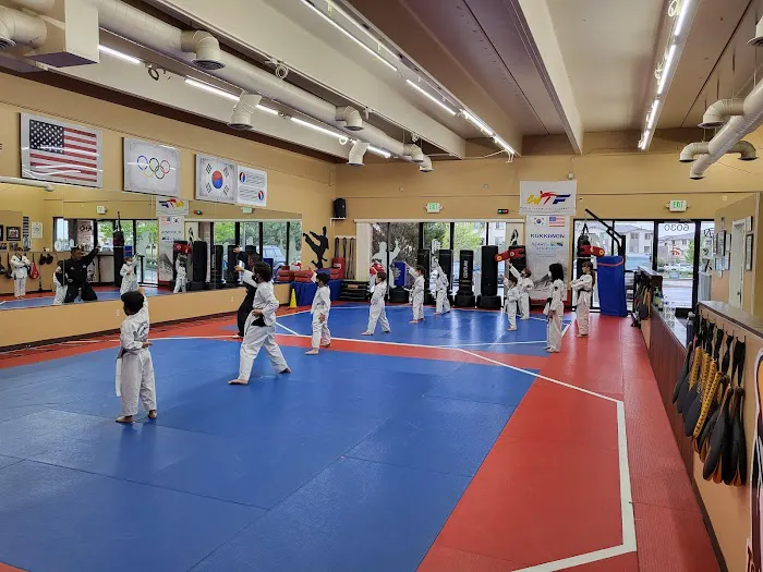 Iron Horse Taekwondo Academy Picture 5