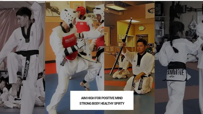 Iron Horse Taekwondo Academy Picture 6