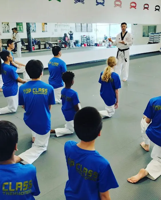 Iron Horse Taekwondo Academy Picture 10