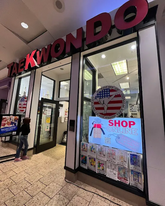 Academy of Life and Leadership Taekwondo Picture 6