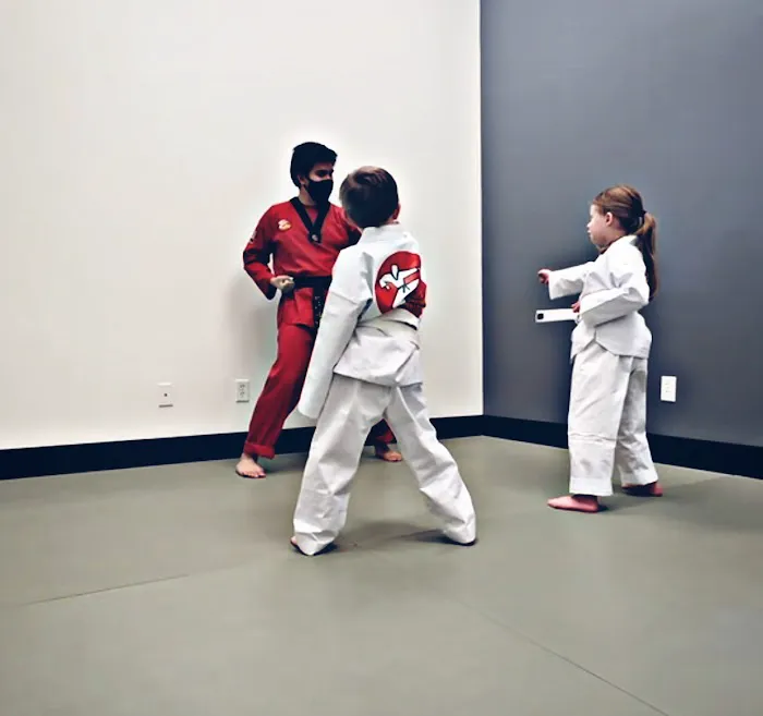 U.S. Taekwondo Center Picture 3