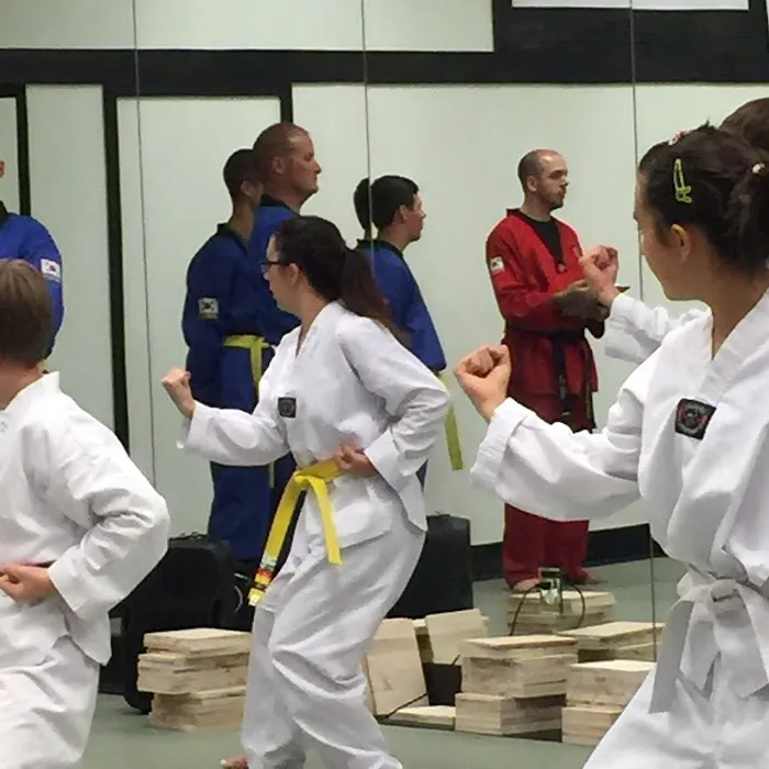 U.S. Taekwondo Center Picture 2