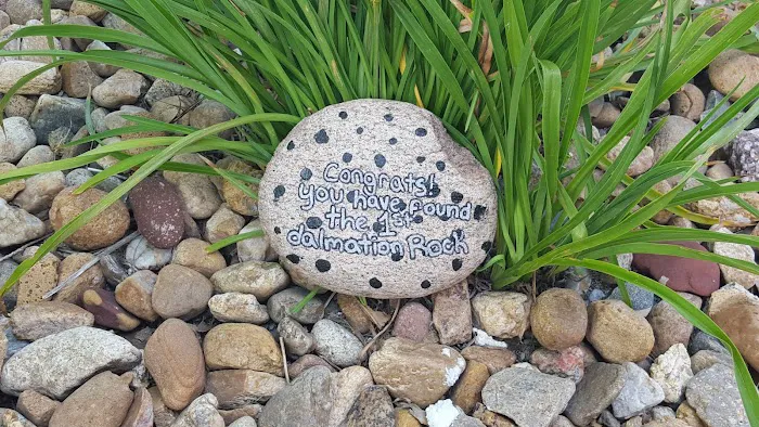 U.S. Taekwondo Center Picture 10