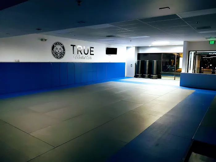 True Martial Arts Center Picture 1