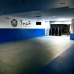 True Martial Arts Center