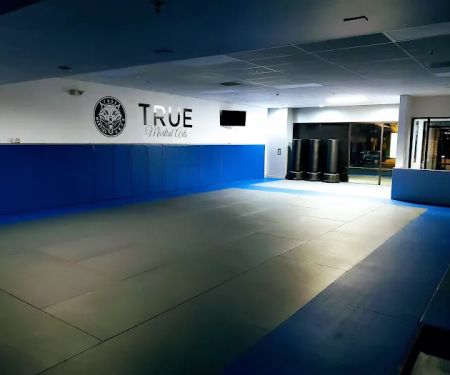 True Martial Arts Center