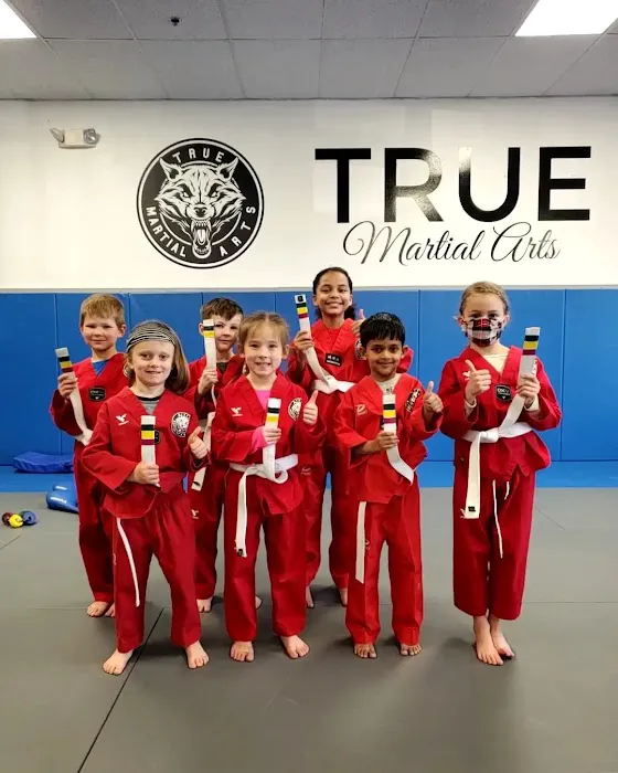 True Martial Arts Center Picture 5