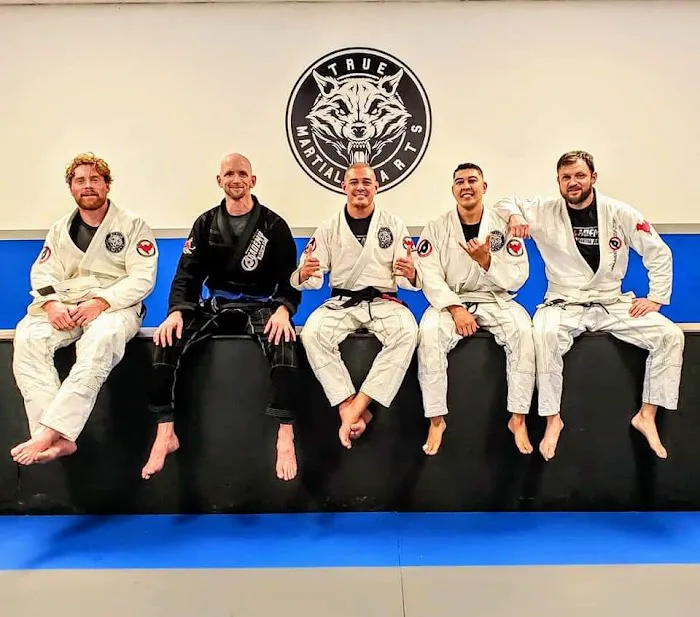True Martial Arts Center Picture 6