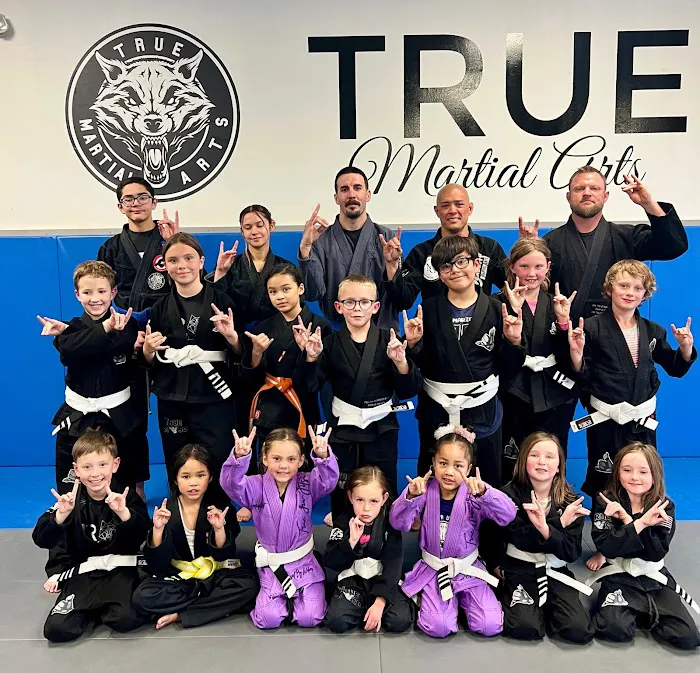 True Martial Arts Center Picture 4