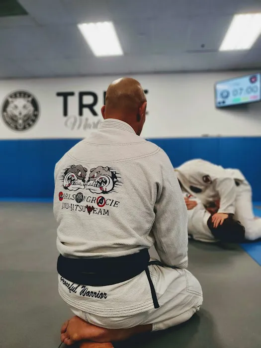 True Martial Arts Center Picture 9