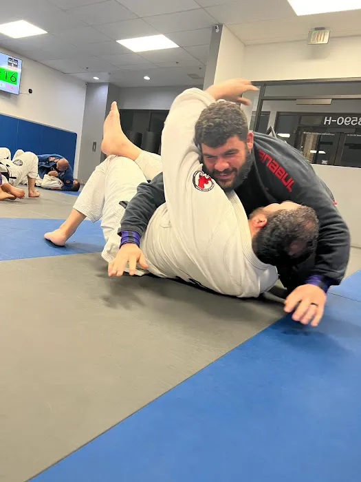 True Martial Arts Center Picture 7