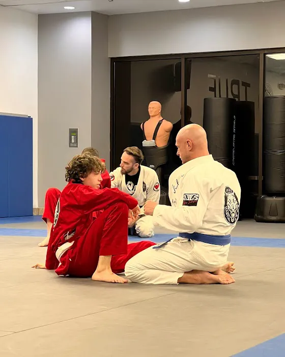 True Martial Arts Center Picture 10