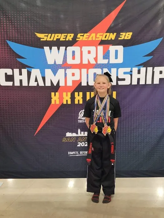 Tiger Rock Martial Arts - Colorado Springs Picture 2