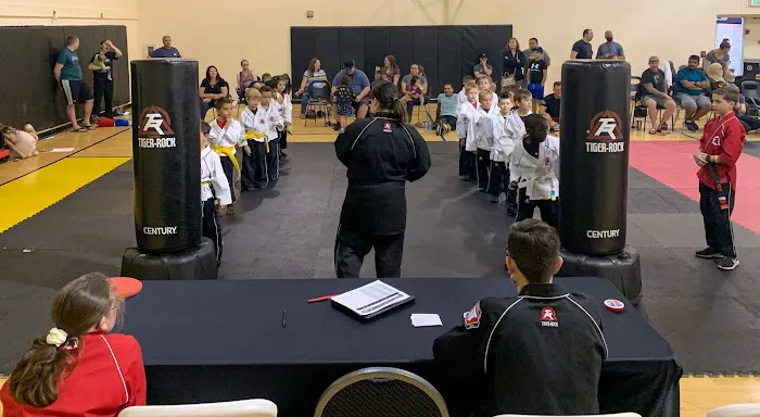 Tiger Rock Martial Arts - Colorado Springs Picture 5