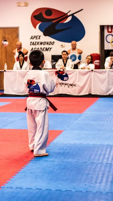 APEX Taekwondo Academy Picture 3