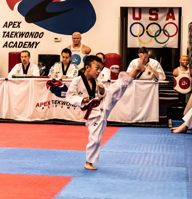 APEX Taekwondo Academy Picture 4