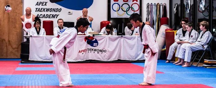 APEX Taekwondo Academy Picture 5