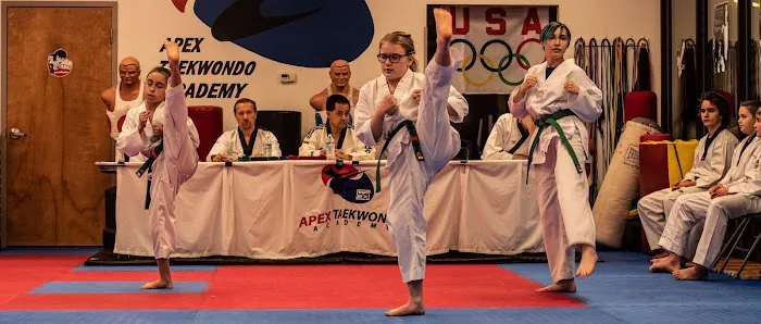 APEX Taekwondo Academy Picture 2
