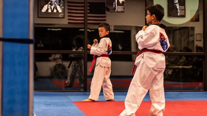 APEX Taekwondo Academy Picture 6