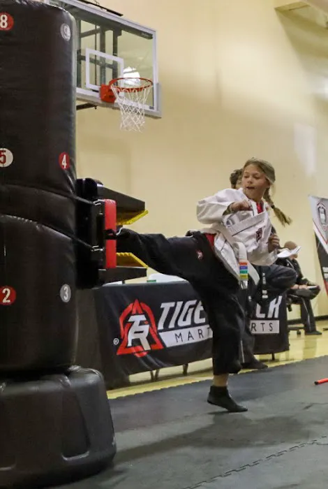 Tiger Rock Martial Arts - Fountain Picture 4