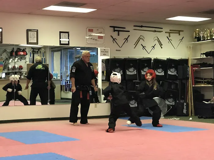 Coppock's Kenpo Karate Academy - formerly American Kenpo Karate School Picture 1