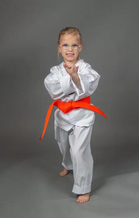 U.S. Taekwondo Center Picture 4