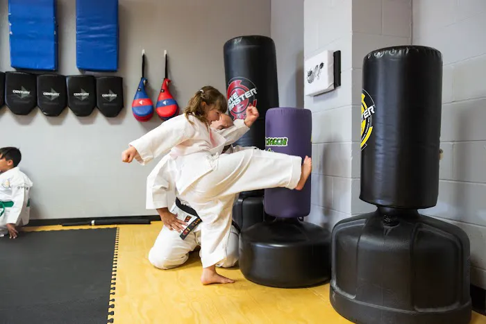 Kenshin Martial Arts Picture 7