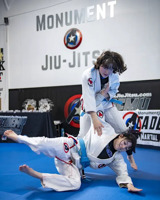 The Academy of Martial Arts Picture 9