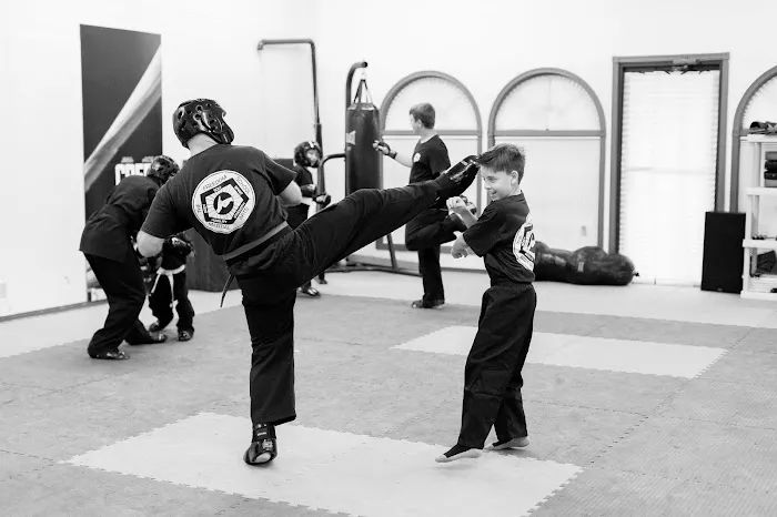 Freedom School of Martial Arts Picture 1