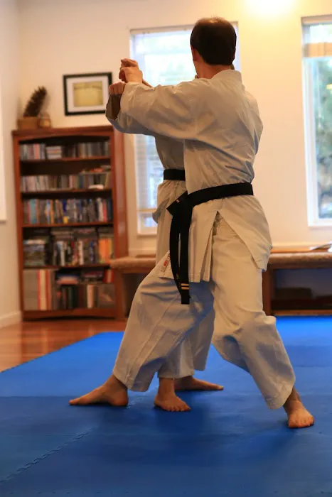 3rd Day Karate Picture 8