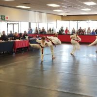 Castle Rock Martial Arts ico