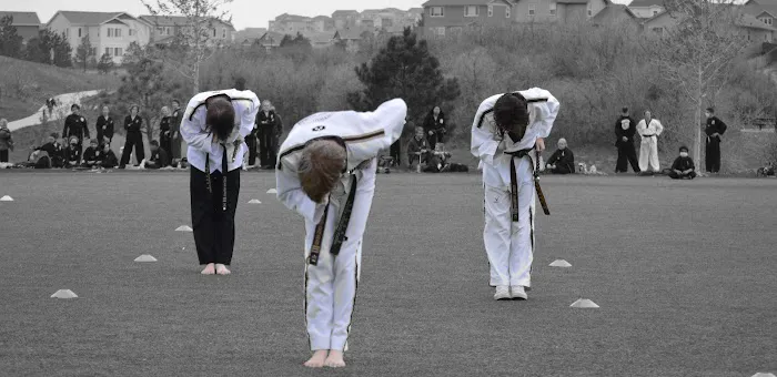 Han Lee's Taekwondo Academy Picture 1