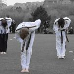 Han Lee's Taekwondo Academy