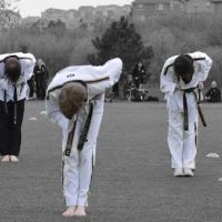 Han Lee's Taekwondo Academy ico